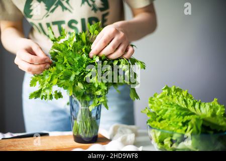 Anonyme Frau hackt Petersilie / Koriander Stockfoto