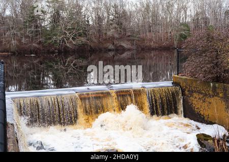 Getrocknete Baumblätter neben Flowing River und dem von Menschen gemachten Staudamm. Dieses Foto wurde in weißen Bergen aufgenommen. Stockfoto