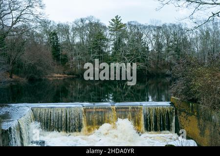 Getrocknete Baumblätter neben Flowing River und dem von Menschen gemachten Staudamm. Dieses Foto wurde in weißen Bergen aufgenommen. Stockfoto