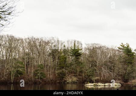 Getrocknete Baumblätter neben Flowing River und dem von Menschen gemachten Staudamm. Dieses Foto wurde in weißen Bergen aufgenommen. Stockfoto