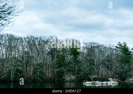 Getrocknete Baumblätter neben Flowing River und dem von Menschen gemachten Staudamm. Dieses Foto wurde in weißen Bergen aufgenommen. Stockfoto