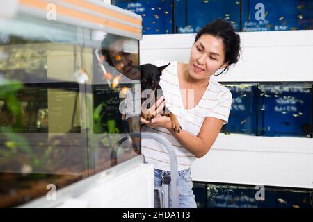 Positive Frau mit Hund in den Armen, die Aquarienfische im Zoofachhandel auswählt Stockfoto