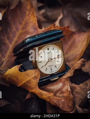 Alte Uhr in einem anständigen Zustand in einer Herbstszene gehalten Stockfoto