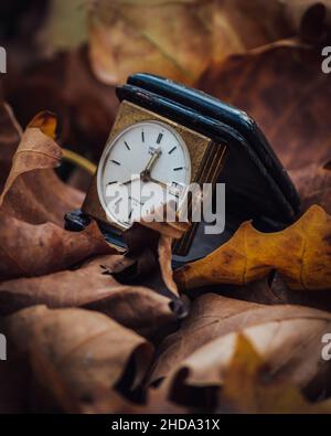 Alte Uhr in einem anständigen Zustand in einer Herbstszene gehalten Stockfoto