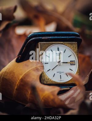 Alte Uhr in einem anständigen Zustand in einer Herbstszene gehalten Stockfoto