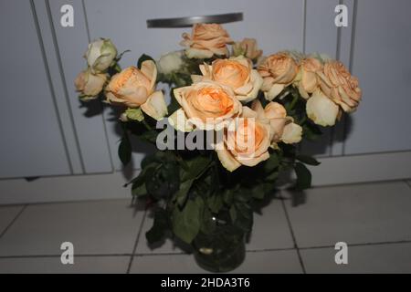 Weiße und orange Rosen mit weißem Hintergrund in einem Topf gesammelt Stockfoto