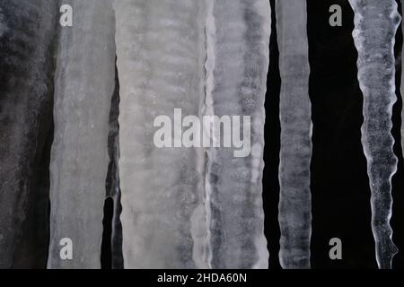 Eine Nahaufnahme mehrerer dicker, hängender Eiszapfen zeigt ihren Mittelteil vor einem dunklen Hintergrund. Stockfoto