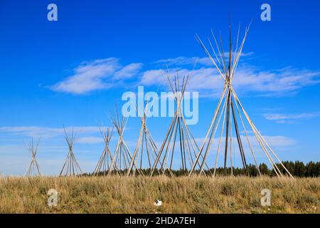 Ein Tipi, auch buchstabiert Tipi oder weniger häufig Tipi, und in älteren englischen Schriften oft als Lodge bezeichnet, ist ein konisches Zelt, das traditionell aus Anima besteht Stockfoto