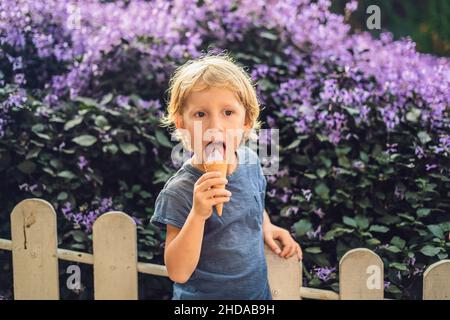 Der junge isst Lavendel Eis auf dem Hintergrund einer lavendelfeld Stockfoto