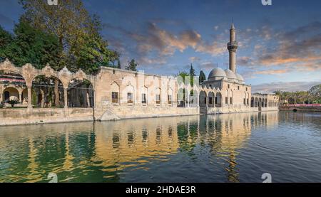 Balikligol (der Fischsee) in Sanliurfa, Türkei. Panorama des Lache von Abraham oder Lache von Sacred Fish. Panoramablick Stockfoto