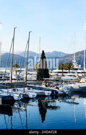 Am Pier steht ein geschmückter Weihnachtsbaum, umgeben von Palmen und festgetäuten Yachten Stockfoto