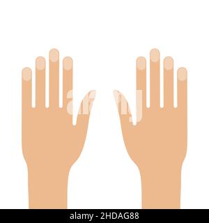 Linke und rechte Hand isoliert auf weiß Stock Vektor