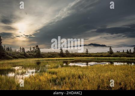 Wunderschöne Aussicht auf den frühen Morgenaufgang auf einem kleinen, mit einer Rohrkrüge gefüllten Teich Stockfoto