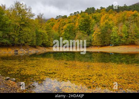 Waldcamp im Seven Lakes National Park in Bolu, Türkei Stockfoto