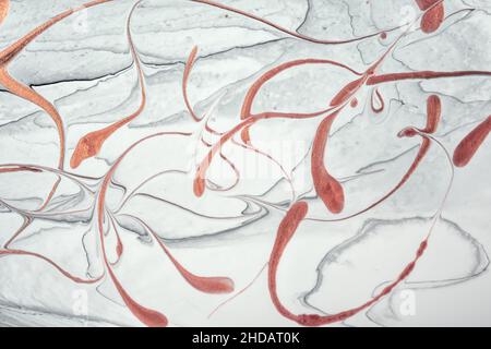 Abstrakte fließende Kunst Hintergrund hellgrau und rot Glitzer Farben. Flüssiger Marmor. Acrylmalerei auf Leinwand mit weißem Farbverlauf und Spritzer. Aquarell Stockfoto