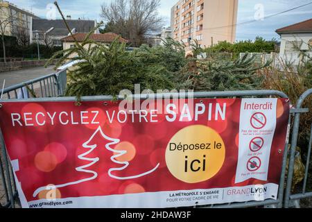 Ste Foy les Lyon (Frankreich), 4. Januar 2022. Sammelstelle für das Recycling von Weihnachtsbäumen. Stockfoto