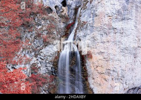 Dalbina Wasserfall in der Herbstsaison; dies ist einer der schönsten aus dem Apuseni Gebirge, Rumänien Stockfoto