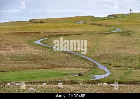 Die Straße zum Duncansby Head Lighthouse, dem nordöstlichsten Teil des schottischen und britischen Hauptlandes, etwas nordöstlich von John o' Groats i Stockfoto