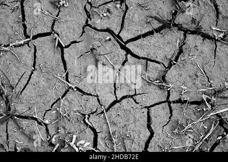 Getrocknete rissige Erde, Boden Textur abstrakten Hintergrund Stockfoto