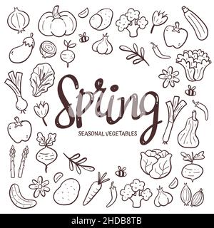 Saisonales Gemüse im Hintergrund. Handgezeichnete Frühlingsgemüse Komposition aus Doodle Vektor-Icons, isoliert auf weißem Hintergrund. Stock Vektor