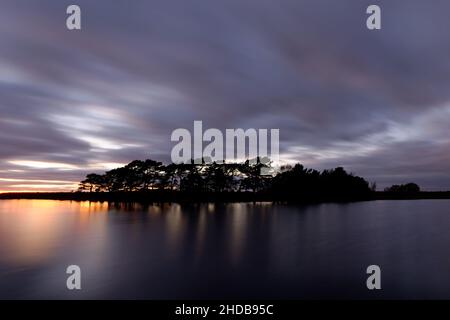 Die Sonne geht über einem Baumhain in der Nähe von Hatchet Pond im New Forest, Großbritannien, unter Stockfoto