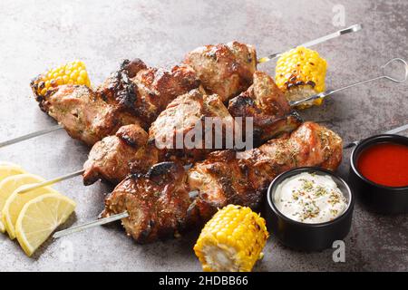 Appetitliches Kebab auf Metallstäben in Nahaufnahme auf grauem Beton-Hintergrund. Keto Paleo. Pegan Diet. Horizontal Stockfoto