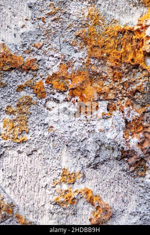 Natürliche Textur des alten, schimmeligen Wildholzstamms von beige-grauer Farbe mit dunkelorangen Flecken auf dem Baum, der der Mondoberfläche voller Krater ähnelt, die tief liegen Stockfoto