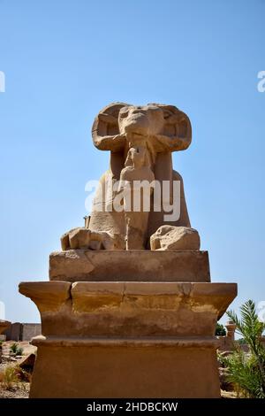 Schafsphinx der kleinen Allee vor dem Karnak-Tempel gegen klaren Himmel. Ansicht von unten. Berühmtes ägyptisches Wahrzeichen mit Hieroglyphen und verfallener Stockfoto