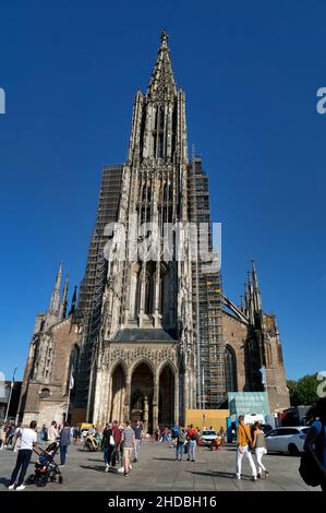 Das Ulmer Münster ist eine lutherische Kirche. Mit einem Kirchturm von 161,5 Metern (530 Fuß) ist sie derzeit die höchste Kirche der Welt. Stockfoto