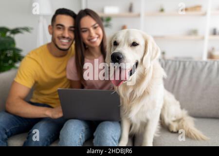 Positives internationales Paar der Millennials, das mit seinem Hund auf der Couch sitzt und für die Online-Kommunikation zu Hause einen Laptop verwendet Stockfoto