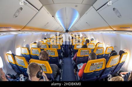 Ryanair Flugzeug innen Stockfoto
