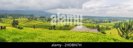 Wunderschöne Jatiluwih Reisterrassen vor dem Hintergrund berühmter Vulkane in Bali, Indonesien Stockfoto
