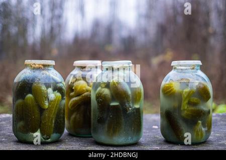 Gläser mit Gurken aus dem Keller. Hausgemachte Gläser. Stockfoto