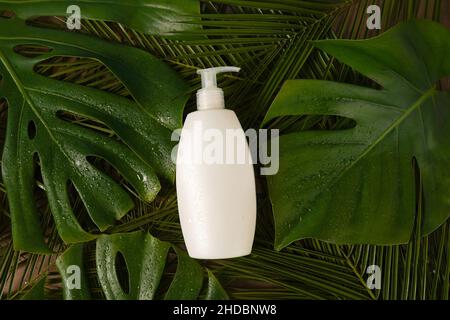 Weiße Kosmetiktube mit Creme, Balsam, Peeling oder Shampoo auf grünem Hintergrund mit Palmblättern und Wassertropfen Stockfoto