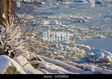 Eisiger Fluss, Thaw Sunshine. Eisbrocken fließen in der Sonne einen Fluss hinunter. Stockfoto