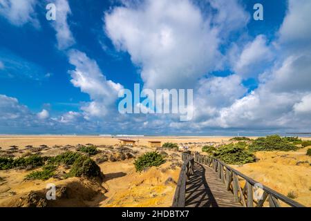 Andalusien, Costa de la Luz, Strand, Chiclana de la Frontera, Playa Barrosa, Stockfoto