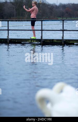 Ein Schwan wird am Weihnachtstag in London gesehen, als Schwimmer ein morgendliches Bad im Serpentine, Hyde Park, probieren. Stockfoto