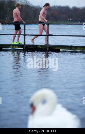 Ein Schwan wird am Weihnachtstag in London gesehen, als Schwimmer ein morgendliches Bad im Serpentine, Hyde Park, probieren. Stockfoto