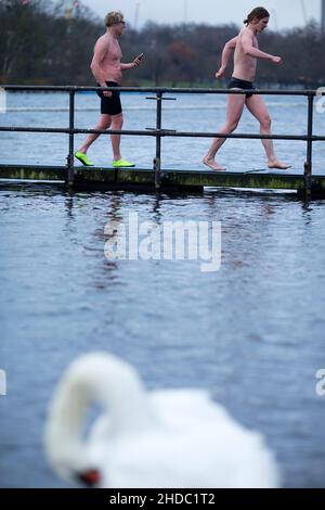 Ein Schwan wird am Weihnachtstag in London gesehen, als Schwimmer ein morgendliches Bad im Serpentine, Hyde Park, probieren. Stockfoto