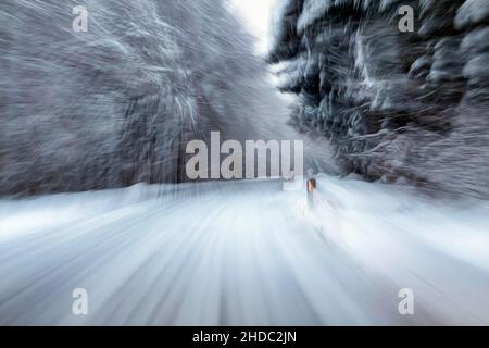 Verschneite rutschige Straße, Straße führt durch Wald in eine Kurve, dynamisch, Weserbergland, Nordrhein-Westfalen, Deutschland, Europa Stockfoto