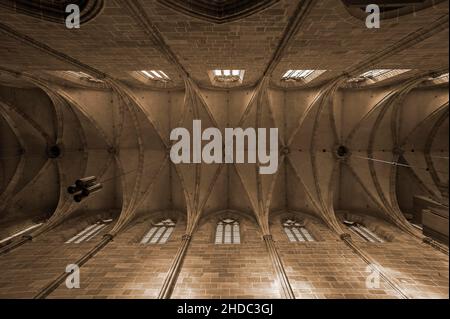 Gotischer Gewölbe, fertiggestellt 1477, Lorenzkirche, Nürnberg, Bayern, Deutschland, Europa Stockfoto