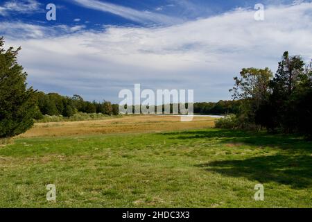 Hinterhof im Jackson Pollack und Lee Krasner Heim- und Studienzentrum in East Hampton Stockfoto