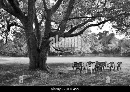 Stühle draußen im Jackson Pollack und Lee Krasner Heim- und Studienzentrum in East Hampton Stockfoto
