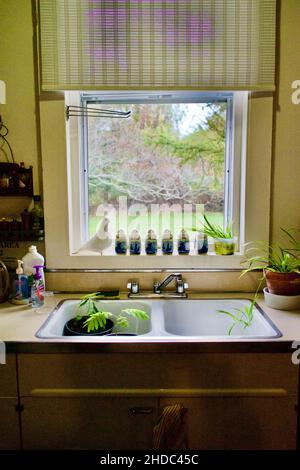 Küchenfenster im Jackson Pollack und Lee Krasner Haus- und Studienzentrum in East Hampton Stockfoto