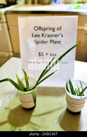 Spider-Werk im Jackson Pollack und Lee Krasner Heim- und Studienzentrum in East Hampton Stockfoto