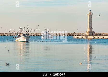 Alte Fischerboote, die vom Fischfang zurückkehren, kommen bei Sonnenuntergang in den Hafen, begleitet von einer Schar von Möwen. Mit schönem Leuchtturm im Hintergrund Stockfoto