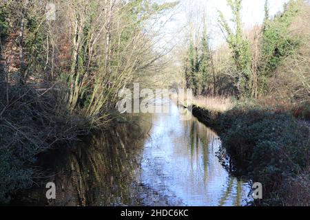 Blick von einer Brücke über den Kanal im Etherow Country Park Stockfoto