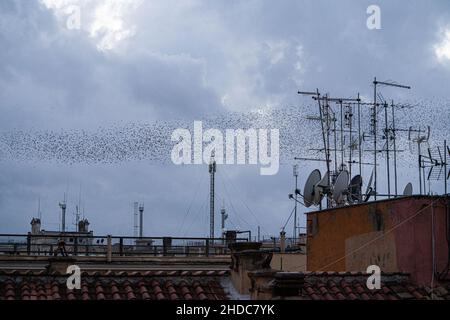 ROM, ITALIEN. 5. Januar 2022. Ein Murren der Stare, die bei Sonnenuntergang über den Dächern Roms schweben. Kredit: amer ghazzal/Alamy Live Nachrichten Stockfoto