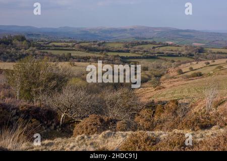 Blick über das Dart-Tal Richtung Widecombe, südöstlicher Rand von Dartmoor Stockfoto