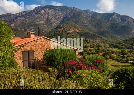 Dorf Girolata mit Treppenhäusern im Naturschutzgebiet Scandola, Korsika, Girolata, Korsika, Frankreich, Europa Stockfoto